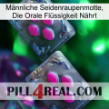 Männliche Seidenraupenmotte, Die Orale Flüssigkeit Nährt 01
